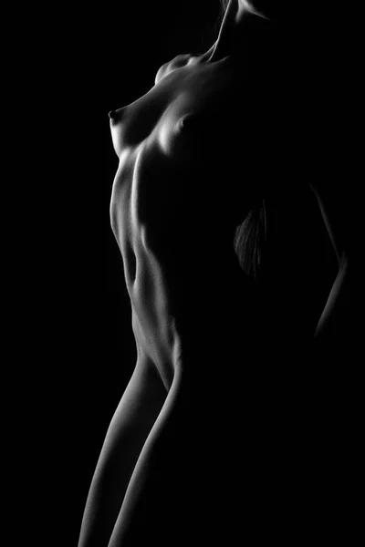 Обнажённое Сексуальное Тело Молодой Женщины Арт Голая Женщина Черно Белый — стоковое фото