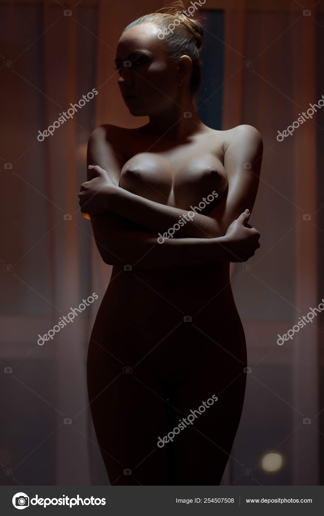 https://st4n.depositphotos.com/5034975/25450/i/1600/depositphotos_254507508-stock-photo-young-sensual-naked-woman-posing.jpg