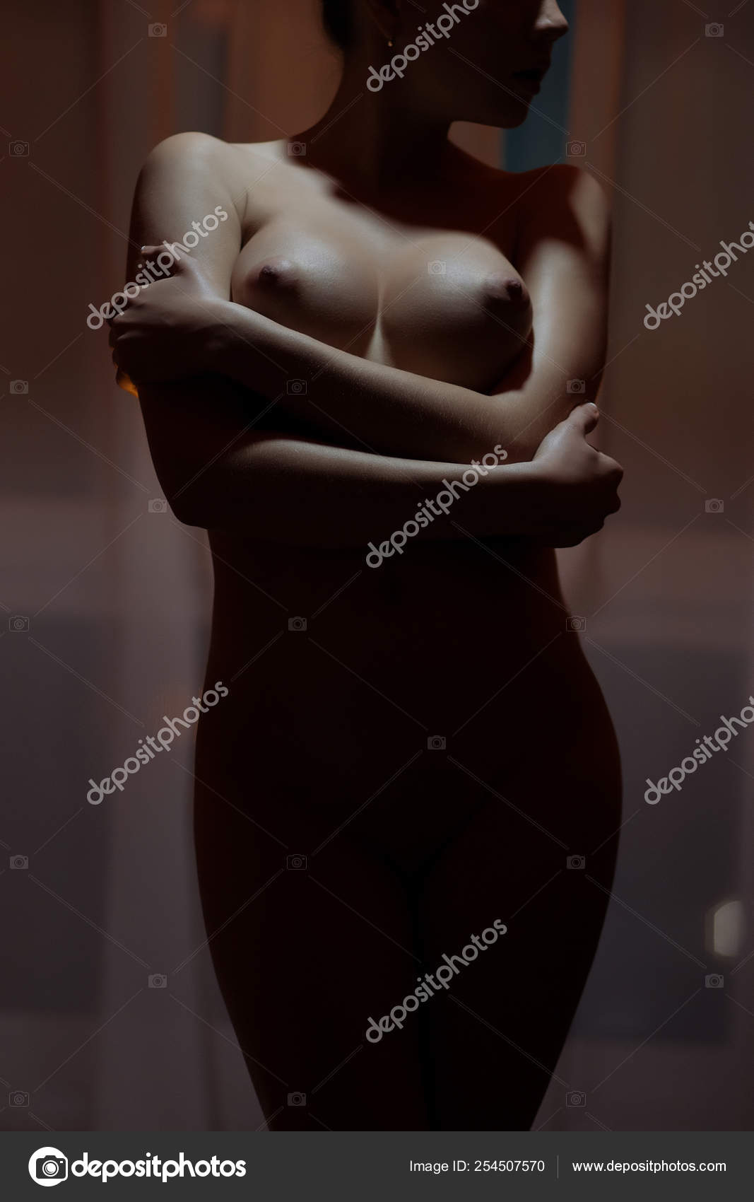 https://st4n.depositphotos.com/5034975/25450/i/1600/depositphotos_254507570-stock-photo-young-sensual-naked-woman-posing.jpg