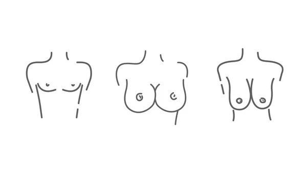 Premium Vector  Lineart varieties of breasts female boobs minimalist style  big and cute cartoon organs